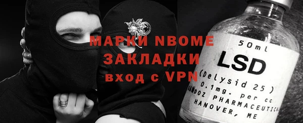 2c-b Инсар