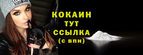 2c-b Инсар