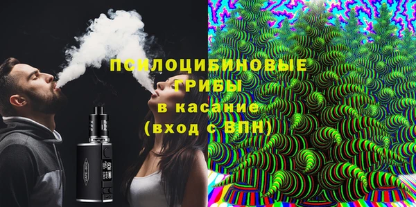 2c-b Инсар