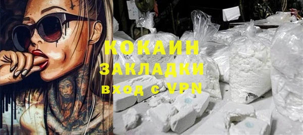 2c-b Инсар