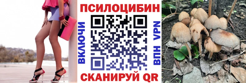 Купить где  Ялуторовск  Галлюциногенные грибы прущие грибы 